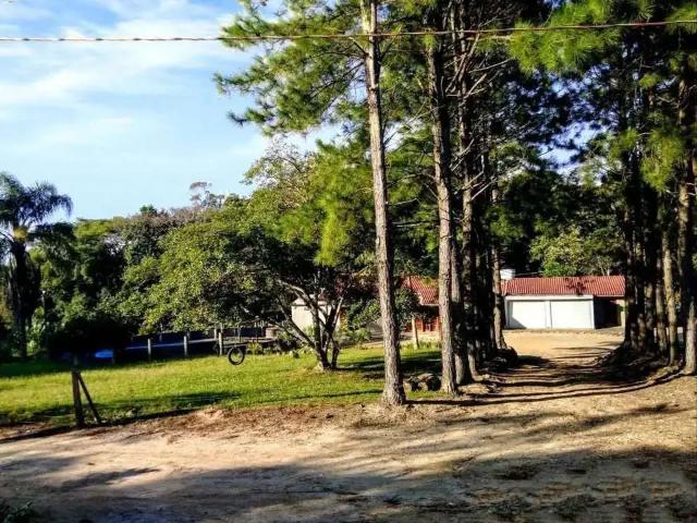 Sítio / Chácara para Venda em Urussanga/SC Centro 4 Quartos
