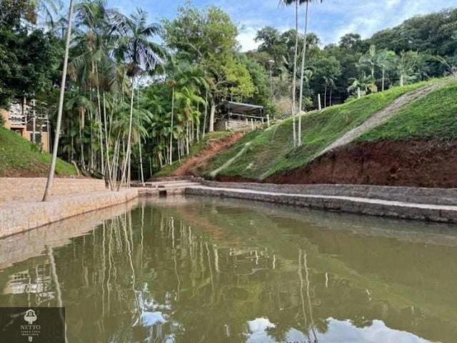 Sítio / Chácara para Venda em Urussanga/SC Vila Brasília