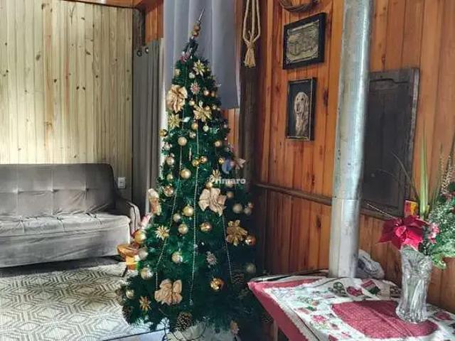 Sítio / Chácara para Venda em Urussanga/SC Zona Rural 2 Quartos