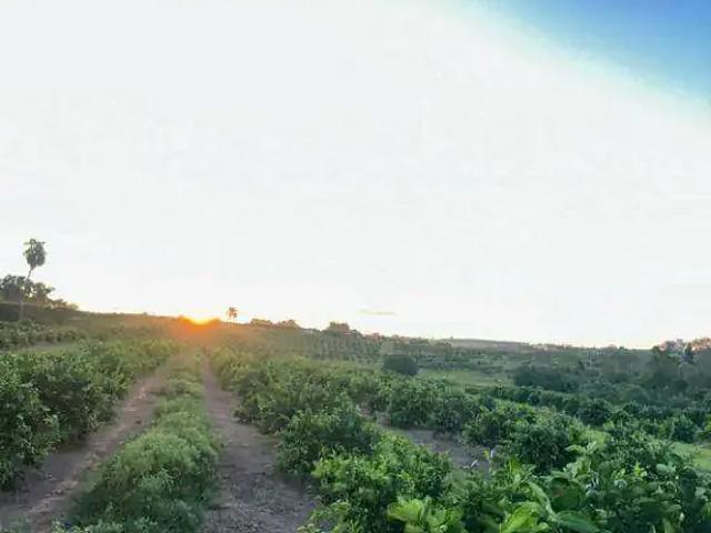 Sítio / Chácara para Venda em Urupês/SP Zona Rural 2 Quartos