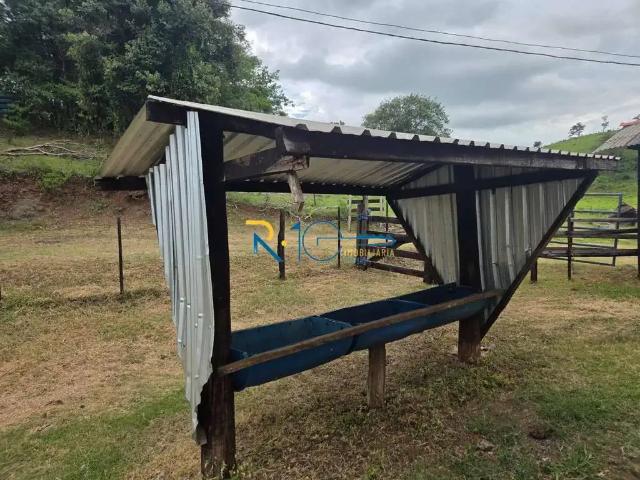 Sítio / Chácara para Venda em Uraí/PR Zona Rural 3 Quartos