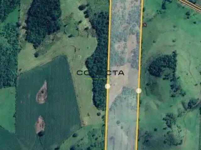 Sítio / Chácara para Venda em Uraí/PR Zona Rural