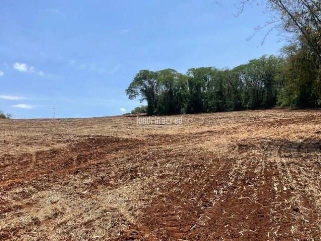 Sítio / Chácara para Venda em Uraí/PR Zona Rural