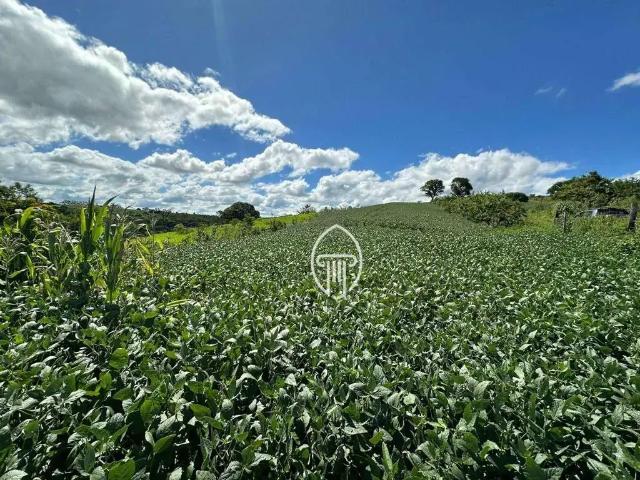 Sítio / Chácara para Venda em Uraí/PR Zona Rural