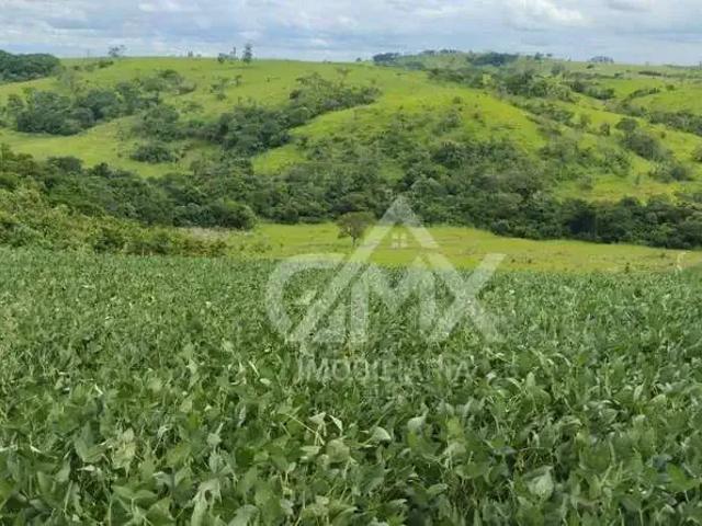 Sítio / Chácara para Venda em Uraí/PR Zona Rural
