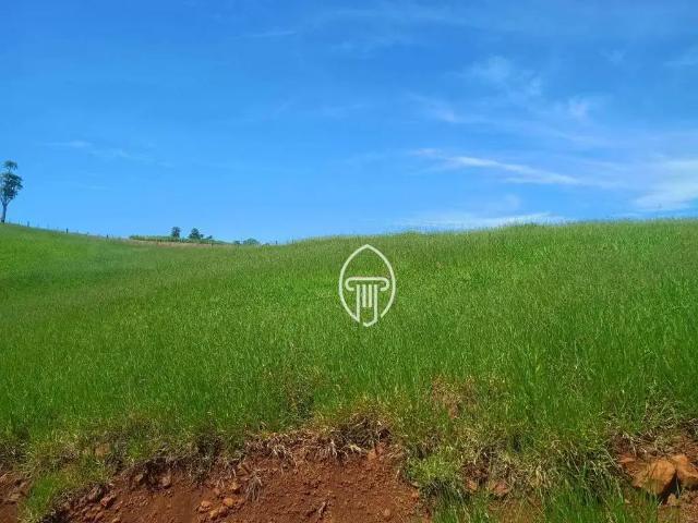 Sítio / Chácara para Venda em Uraí/PR Zona Rural