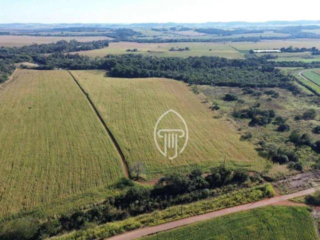 Sítio / Chácara para Venda em Uraí/PR Zona Rural
