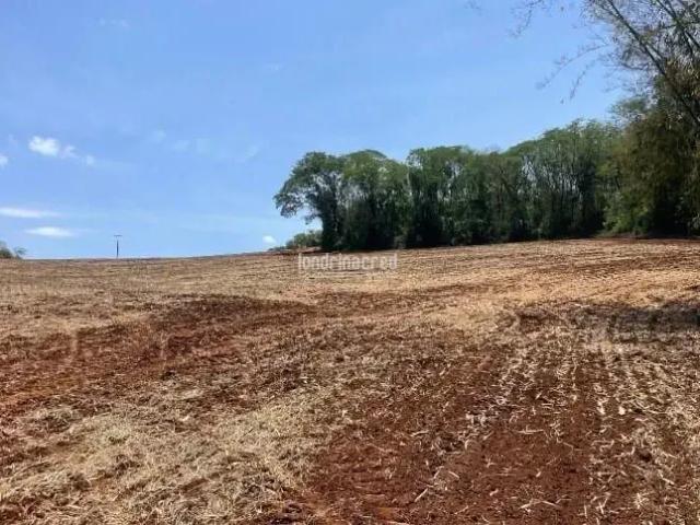 Sítio / Chácara para Venda em Uraí/PR Zona Rural