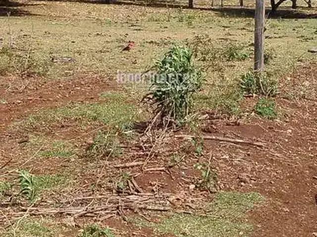 Sítio / Chácara para Venda em Uraí/PR Zona Rural