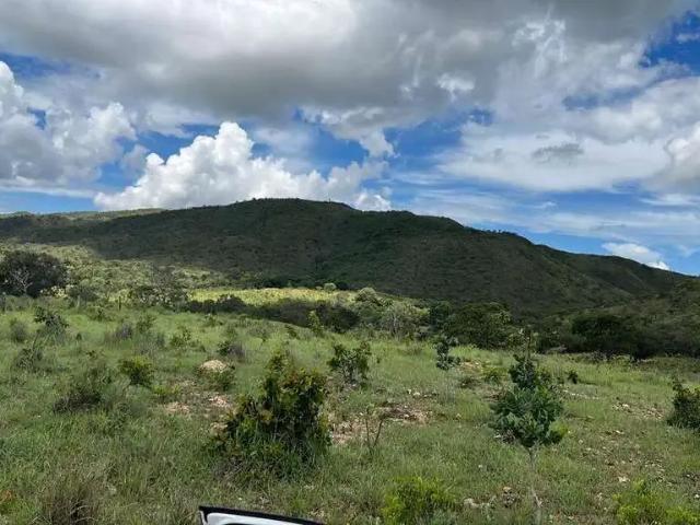 Sítio / Chácara para Venda em Vazante/MG Zona Rural