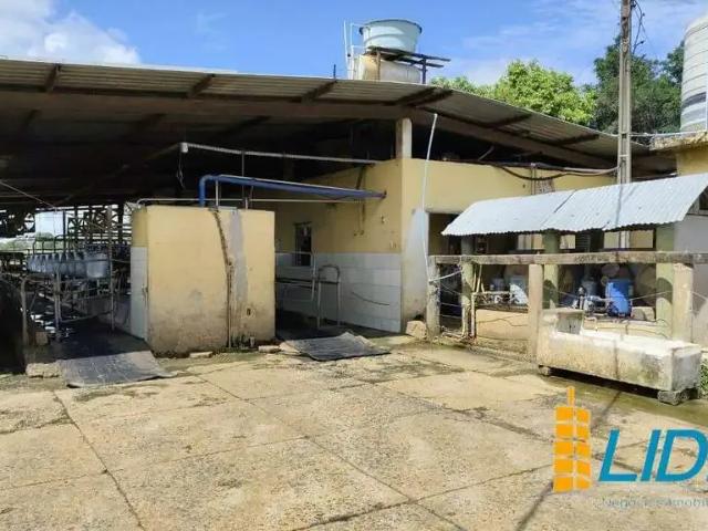 Sítio / Chácara para Venda em Vazante/MG Zona Rural