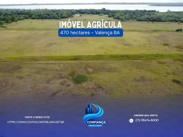 Sítio / Chácara para Venda em Valença/BA Guaibim