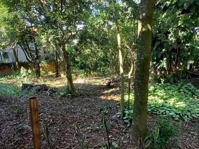 Sítio / Chácara para Venda em Valinhos/SP Chácaras São Bento 2 Quartos
