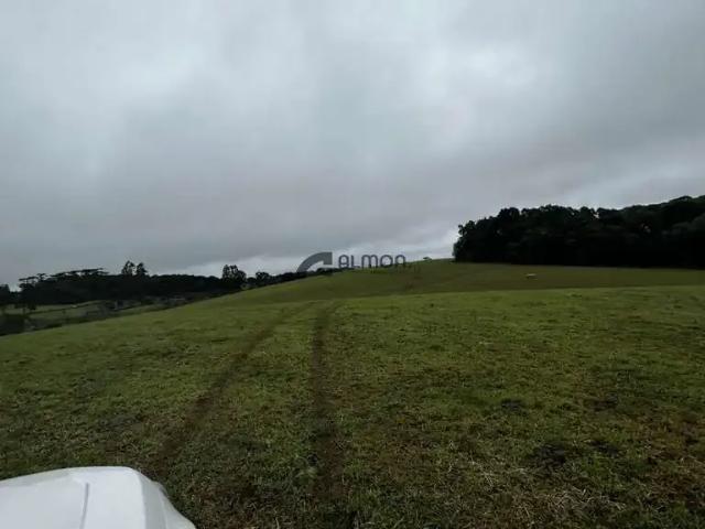Sítio / Chácara para Venda em Vargem/SC Zona Rural