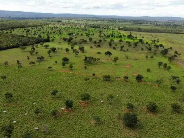 Sítio / Chácara para Venda em Várzea da Palma/MG Zona Rural