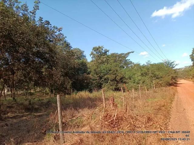Sítio / Chácara para Venda em Várzea Grande/MT Área Rural de Várzea Grande 2 Quartos