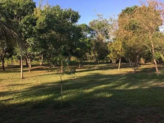 Sítio / Chácara para Venda em Várzea Grande/MT Área Rural de Várzea Grande 2 Quartos