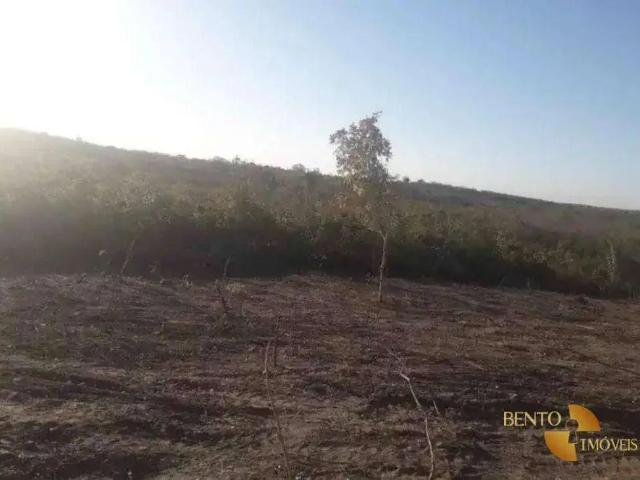 Sítio / Chácara para Venda em Várzea Grande/MT Área Rural de Várzea Grande 2 Quartos