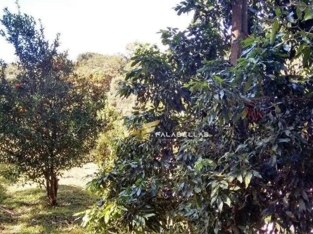 Sítio / Chácara para Venda em Várzea Paulista/SP Chácaras Paulista 2 Quartos