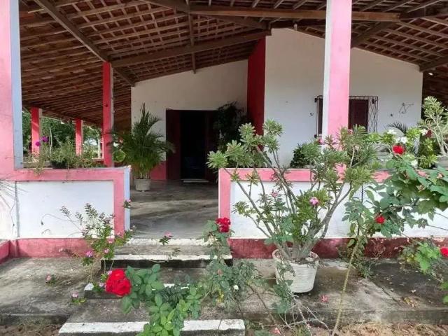 Sítio / Chácara para Venda em Várzea/RN Centro 4 Quartos