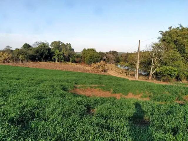 Sítio / Chácara para Venda em Vera Cruz do Oeste/PR Zona Rural