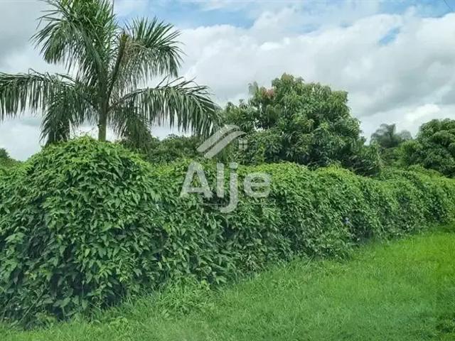 Sítio / Chácara para Venda em Vera Cruz/SP Centro 2 Quartos