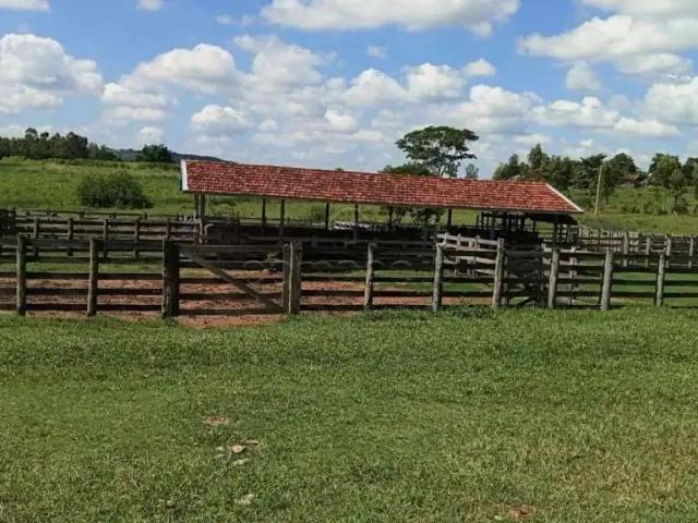 Sítio / Chácara para Venda em Vera Cruz/SP Área Rural de Vera Cruz