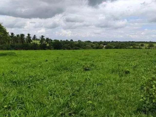 Sítio / Chácara para Venda em Vera Cruz/RN Centro 10 Quartos