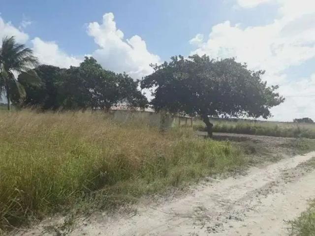 Sítio / Chácara para Venda em Vera Cruz/RN Centro 3 Quartos