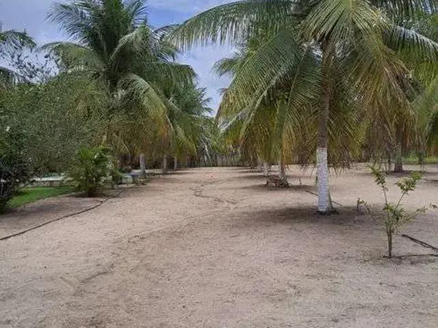 Sítio / Chácara para Venda em Vera Cruz/RN Centro 3 Quartos