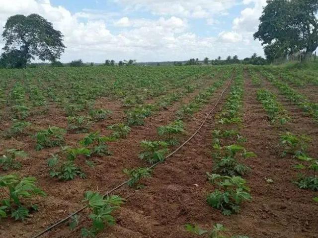 Sítio / Chácara para Venda em Vera Cruz/RN Centro 3 Quartos