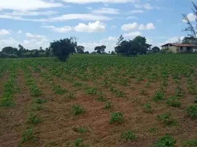 Sítio / Chácara para Venda em Vera Cruz/RN Centro 3 Quartos