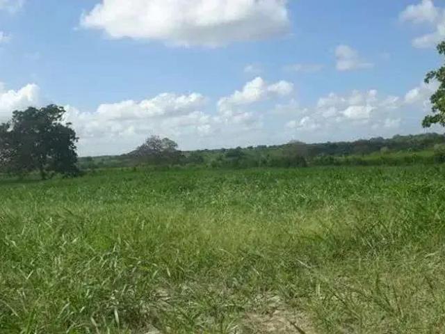 Sítio / Chácara para Venda em Vera Cruz/RN Centro 3 Quartos