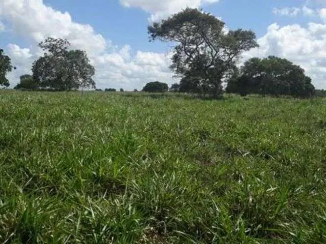 Sítio / Chácara para Venda em Vera Cruz/RN Centro 3 Quartos