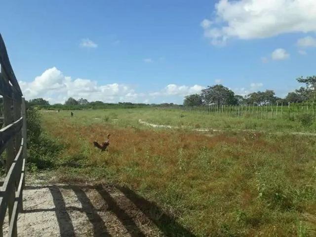 Sítio / Chácara para Venda em Vera Cruz/RN Centro 3 Quartos