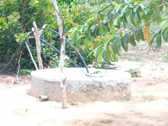 Sítio / Chácara para Venda em Vera Cruz/RN Centro 3 Quartos