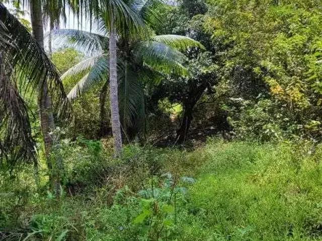 Sítio / Chácara para Venda em Vera Cruz/RN Centro 3 Quartos
