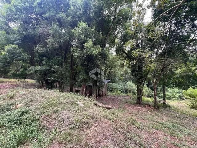 Sítio / Chácara para Venda em Vera Cruz/RS Centro