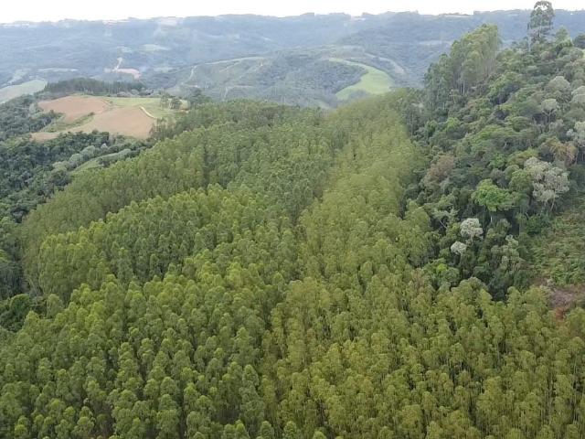 Sítio / Chácara para Venda em Vítor Meireles/SC Zona Rural 1 Quartos