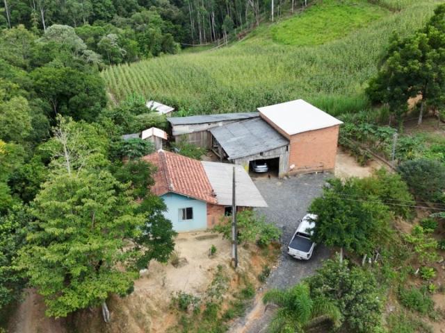 Sítio / Chácara para Venda em Vítor Meireles/SC Zona Rural 2 Quartos