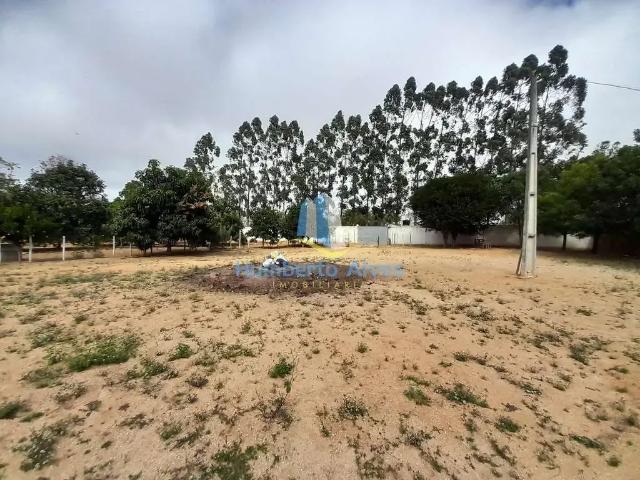 Sítio / Chácara para Venda em Vitória da Conquista/BA Lagoa das Flores 3 Quartos