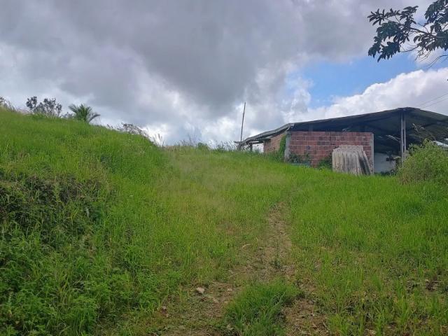 Sítio / Chácara para Venda em Vitória de Santo Antão/PE Matriz 2 Quartos