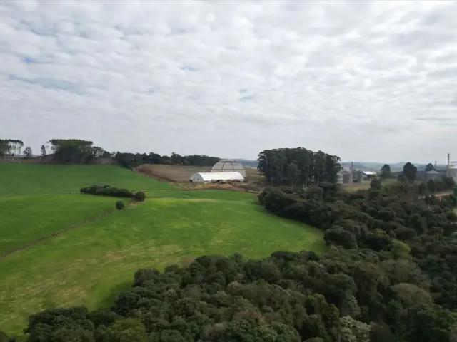 Sítio / Chácara para Venda em Vitorino/PR Zona Rural