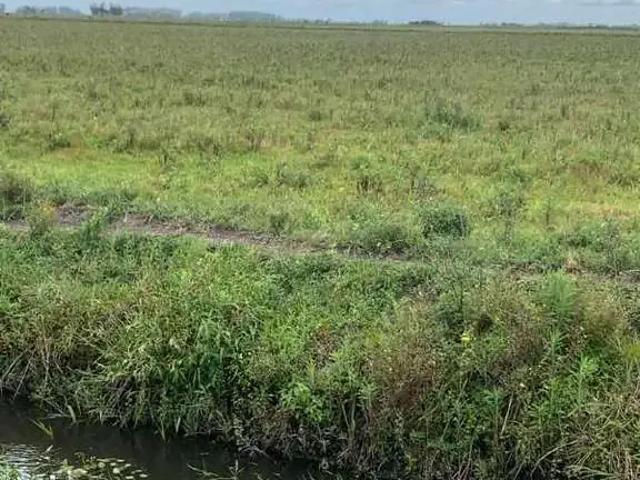 Sítio / Chácara para Venda em Viamão/RS Capão da porteira