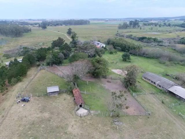 Sítio / Chácara para Venda em Viamão/RS Capão da porteira