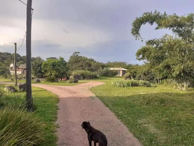 Sítio / Chácara para Venda em Viamão/RS Águas Claras 3 Quartos