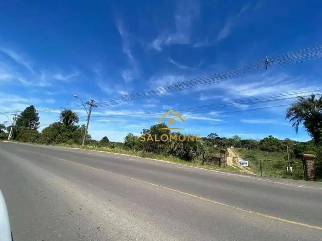 Sítio / Chácara para Venda em Viamão/RS Águas Claras