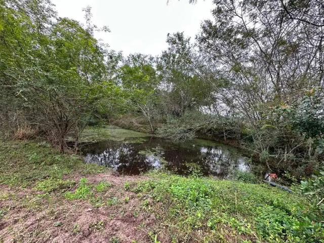 Sítio / Chácara para Venda em Viamão/RS Itapuã 1 Quartos