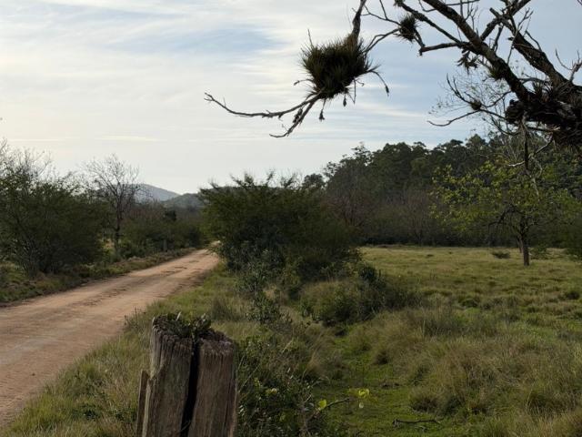 Sítio / Chácara para Venda em Viamão/RS Itapuã 1 Quartos