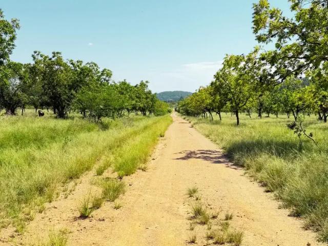 Sítio / Chácara para Venda em Viamão/RS Itapuã 1 Quartos